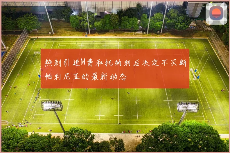 热刺引进M费和托纳利后决定不买断帕利尼亚的最新动态