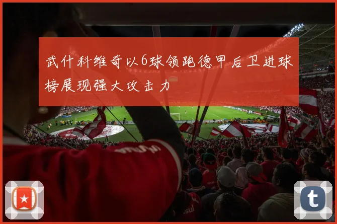 武什科维奇以6球领跑德甲后卫进球榜展现强大攻击力